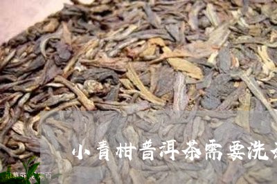 小青柑普洱茶需要洗茶/2023062353625