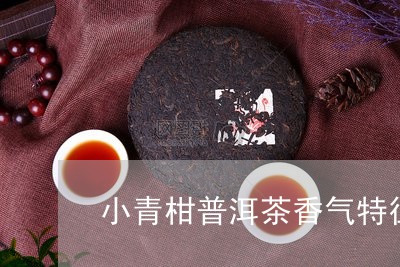 小青柑普洱茶香气特征是什么/2023052820614