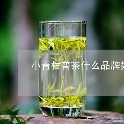 小青柑普茶什么品牌好/2023061014859