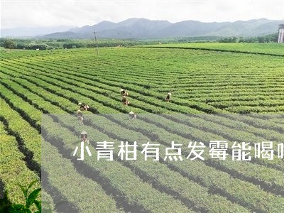 小青柑有点发霉能喝吗/2023092146047