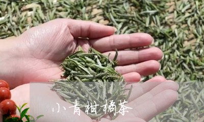 小青柑橘茶/2023041868813