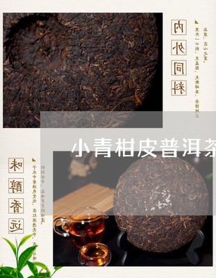 小青柑皮普洱茶怎么煮/2023061898573