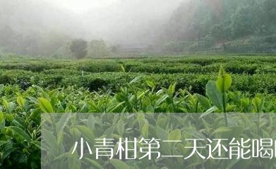 小青柑第二天还能喝吗每天喝小青柑/2023060445846