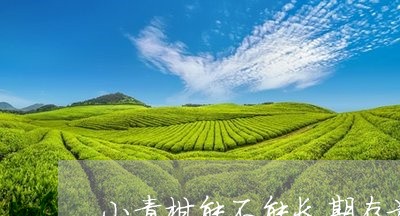 小青柑能不能长期存放/2023092185130