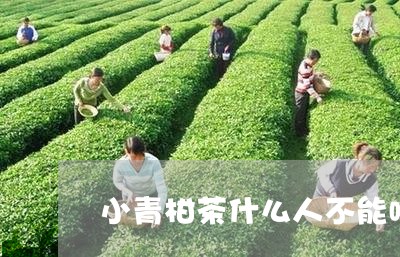 小青柑茶什么人不能喝/2023071640481