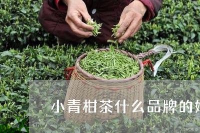 小青柑茶什么品牌的好喝如何开茶饼/2023060462715