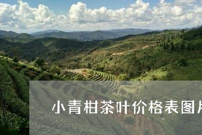 小青柑茶叶价格表图片/2023061081604