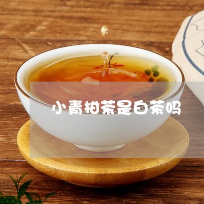 小青柑茶是白茶吗/2023062040673