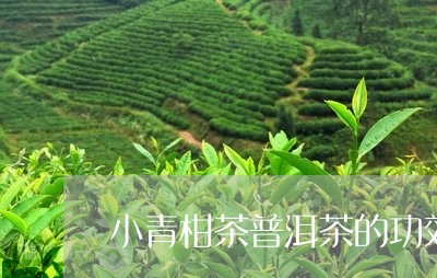 小青柑茶普洱茶的功效/2023100640482