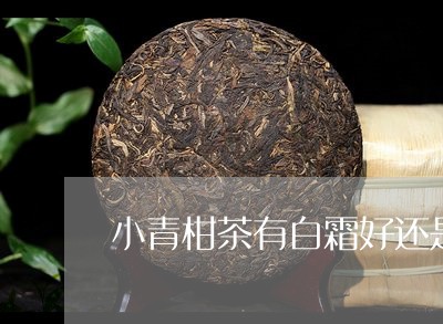 小青柑茶有白霜好还是没有好/2023052673534