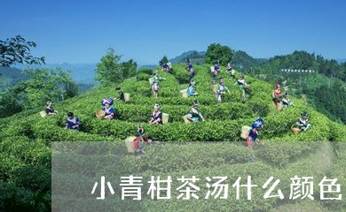 小青柑茶汤什么颜色好/2023071618515