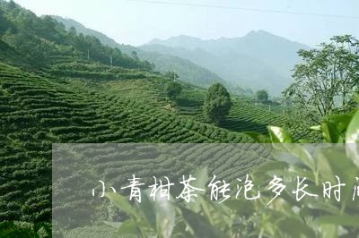 小青柑茶能泡多长时间红柑普洱茶/2023060370504