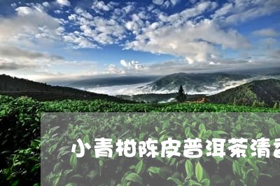 小青柑陈皮普洱茶清香/2023062149605