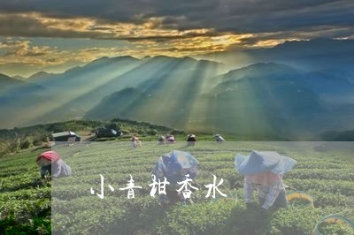 小青柑香水/2023041782785