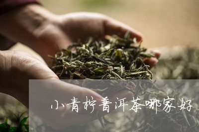 小青柠普洱茶哪家好/2023120564926