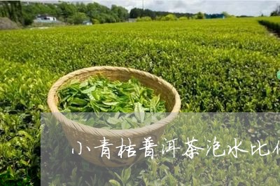 小青桔普洱茶泡水比例/2023062415047