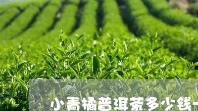 小青橘普洱茶多少钱一杯/2023112762725