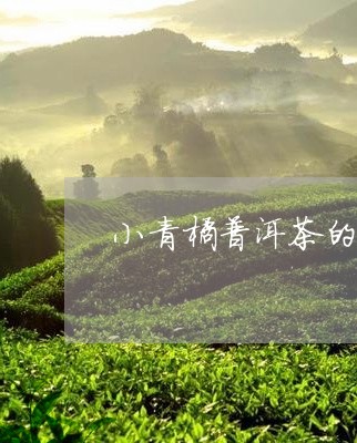 小青橘普洱茶的危害/2023120637181