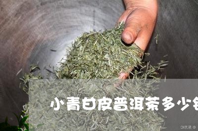 小青甘皮普洱茶多少钱/2023092616171