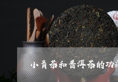 小青茶和普洱茶的功效/2023073052604