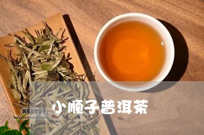 小顺子普洱茶/2023042753441