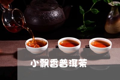 小飘香普洱茶/2023042750705