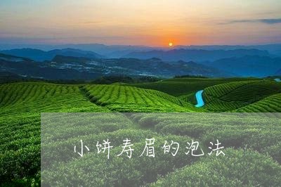 小饼寿眉的泡法/2023112501826