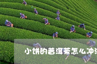 小饼的普洱茶怎么冲泡比较好/2023052848473