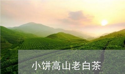 小饼高山老白茶/2023082670525