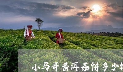 小马哥普洱茶饼多少钱/2023092693369