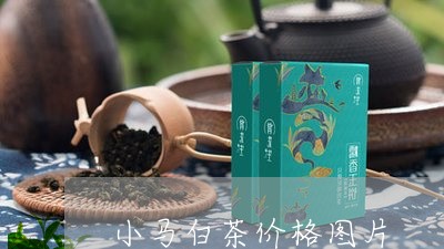 小马白茶价格图片/2023062002817