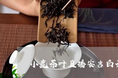 小鹿茶叶直播安吉白茶/2023093035240