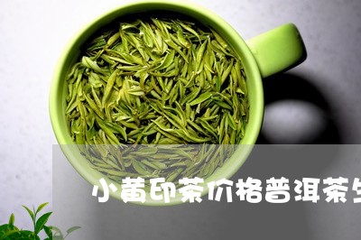 小黄印茶价格普洱茶生茶茶型/2023052794836