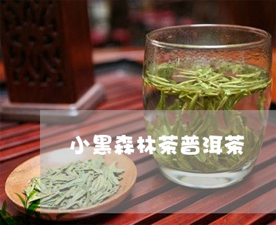 小黑森林茶普洱茶/2023112647371