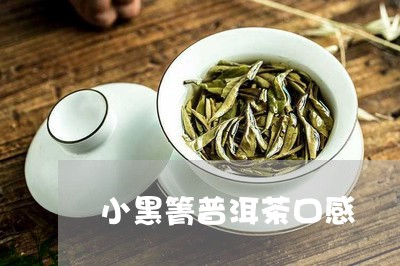 小黑箐普洱茶口感/2023110328250