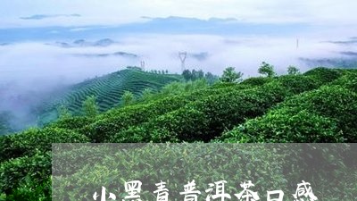 小黑青普洱茶口感/2023110306069