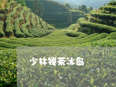 少林禅茶冰岛/2023090724250