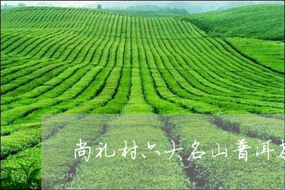 尚礼村六大名山普洱茶/2023092568360