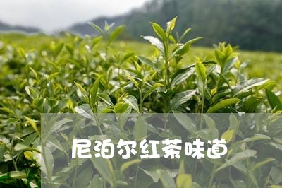 尼泊尔红茶味道/2023042969906