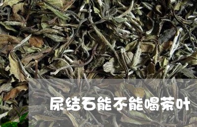 尿结石能不能喝茶叶/2023041887149