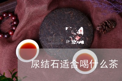 尿结石适合喝什么茶/2023042141704