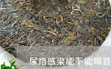 尿路感染能不能喝普洱茶/2023103198283