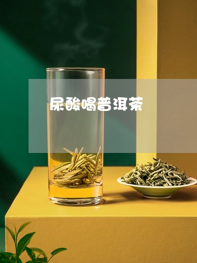 尿酸喝普洱茶/2023042694921