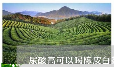 尿酸高可以喝陈皮白茶不/2023102523704