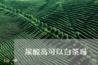 尿酸高可以白茶吗/2023062010694