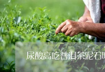 尿酸高吃普洱茶泥石吧/2023092997159