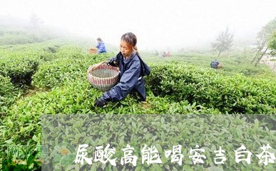 尿酸高能喝安吉白茶吗/2023093007461