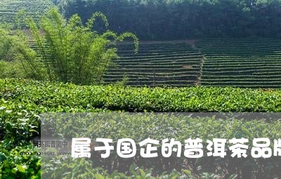 属于国企的普洱茶品牌/2023081610703