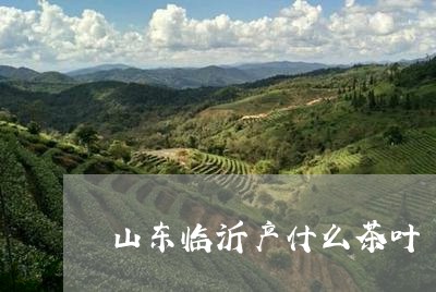 山东临沂产什么茶叶/2023042685948