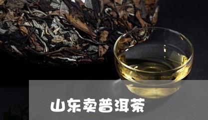 山东卖普洱茶/2023042717003